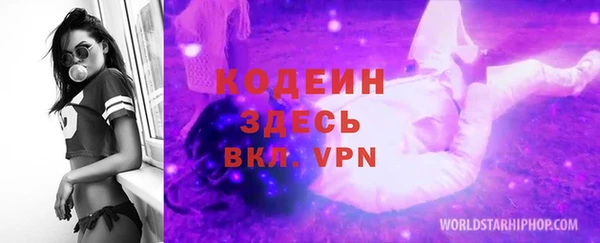 дурь Алексин