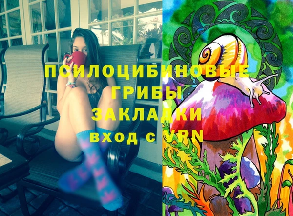стаф Алексеевка