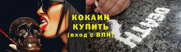 дурь Алексин