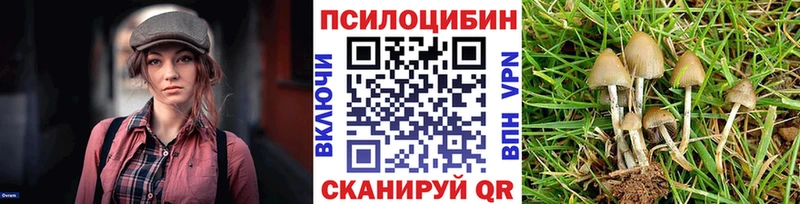 Псилоцибиновые грибы Psilocybine cubensis  Заполярный 
